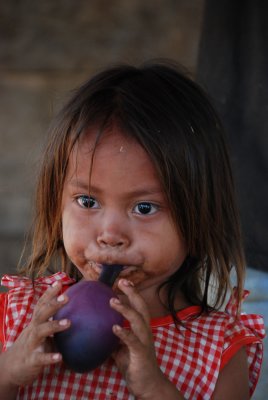 Tambupata Jungle , Peru , 2008