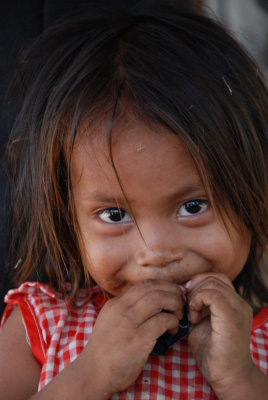 Tambupata Jungle , Peru , 2008