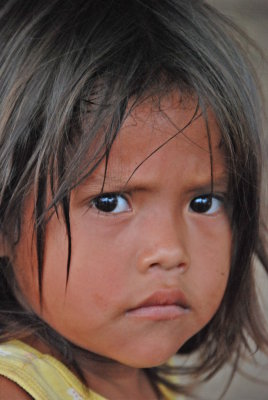 Tambupata Jungle , Peru , 2008