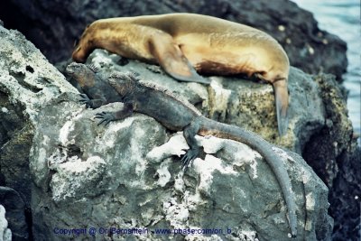 Galapagos , Equador , 2001