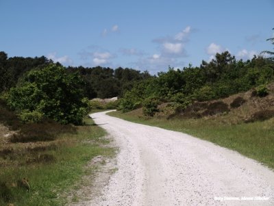 Nieuwe weg in de duinen van Schoorl