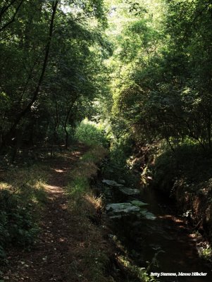 Langs de Mosbeek
