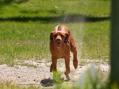 Kicking up the sand