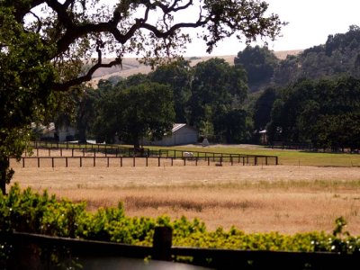 One of the farms along the way..