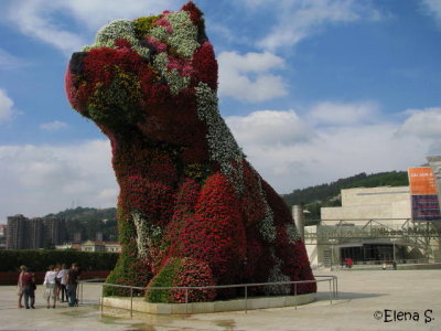 El gato delante de Guggenheim - Bilbao - 6469.jpg