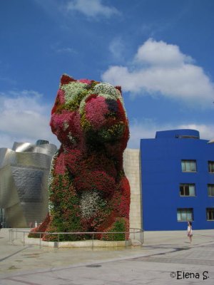 El gato delante de Guggenheim - Bilbao - 6472.jpg