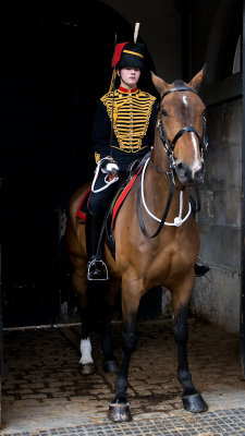 The King's Troop Royal Horse Artillery