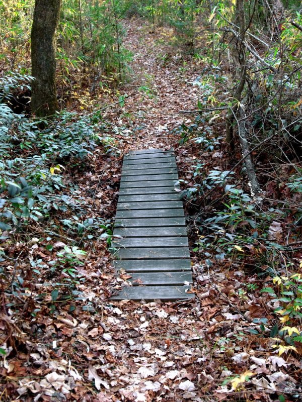 Small footbridge