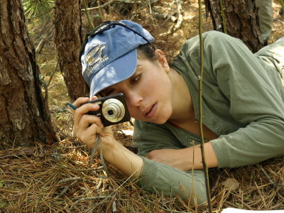 Molly Josephs photographing Platanthera pallida