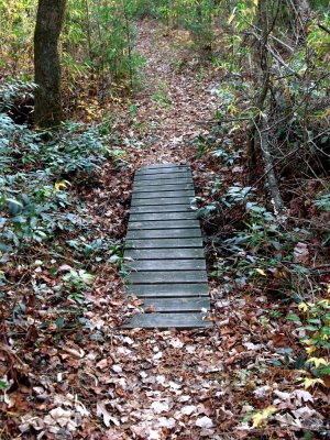 Small footbridge