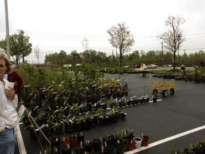 Just a small view of the  huge selection of plants for sale