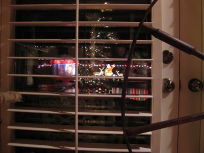 IMG_0795.jpg