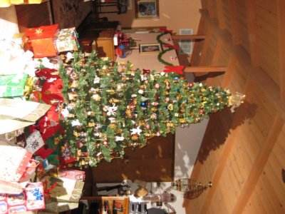IMG_0859.jpg