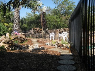IMG_1862.jpg