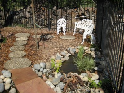 IMG_1863.jpg