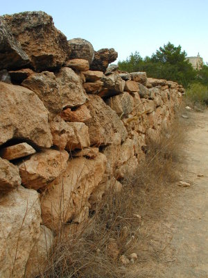 Old Stone Wall (1/7)