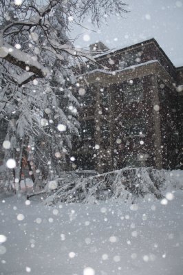 Falling Snow (2/7)
