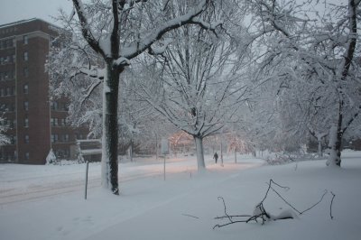 Connecticut Avenue, Looking South (2/7)