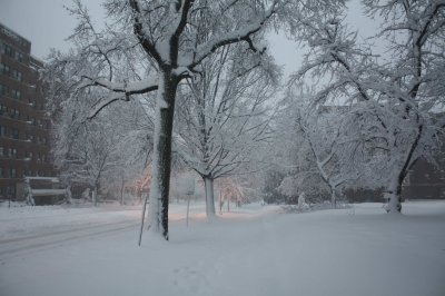Connecticut Avenue, Looking South (2/7)