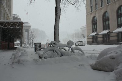 Bikes Headed towards Treasury (2/7)