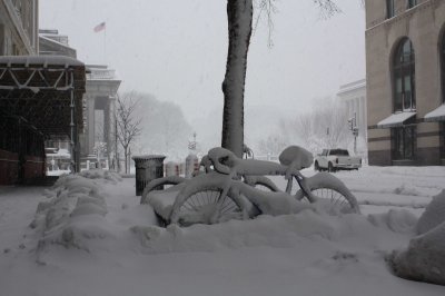 Bikes Headed towards Treasury (2/7)