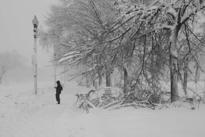 Debbie on Constitution Avenue, NW (2/7)