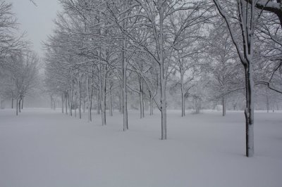 Debbie Walking to the WWII Memorial (2/7)