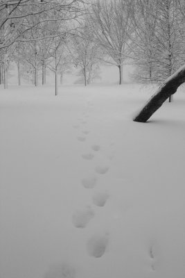 Footprints (2/7)