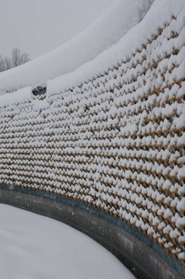 Wall of Snow Covered Stars, WWII Memorial (2/7)