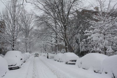 Cathedral Avenue (2/7)