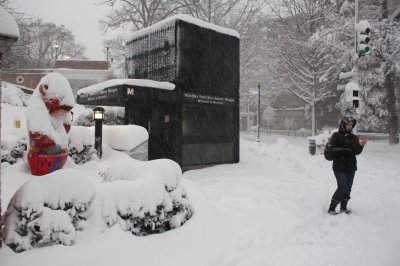 Debbie in Woodley Park (2/7)