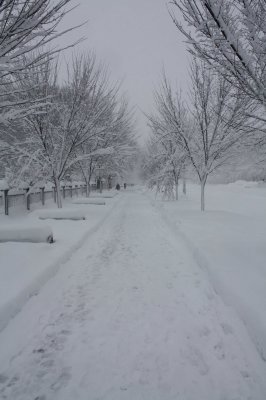 View Down Pennsylvania Avenue (2/7)