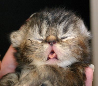 Sleeping :)
