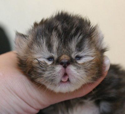 Still sleeping?! :)