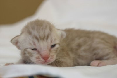 Cutie :)