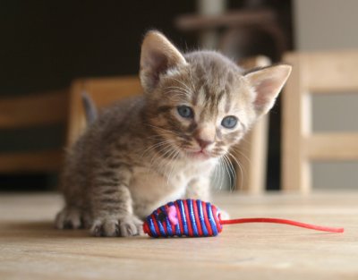 This is my catch!