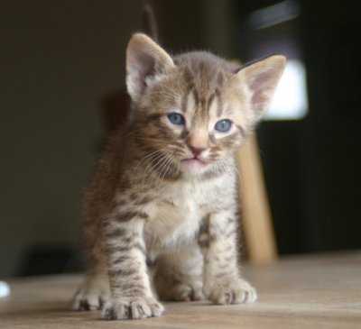 I'm a big boy!