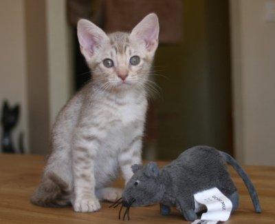 Me & my mouse