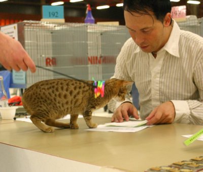 Hmm..what is he writing..maybe if I...