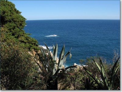 natuur_Lloret de Mar_5.JPG