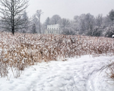 136, Marshlands Conservancy, Rye