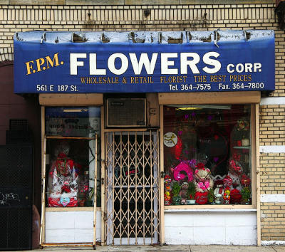 Flowers, E. 187th Street