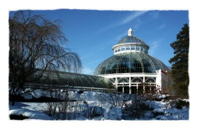 Haupt Conservatory in Winter