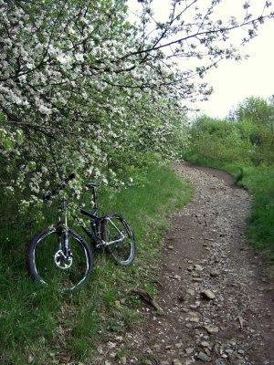 2008_0503002.JPG