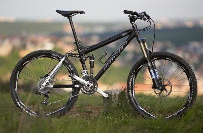 DE2B3628.jpg