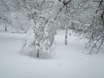 DSC01800.JPG