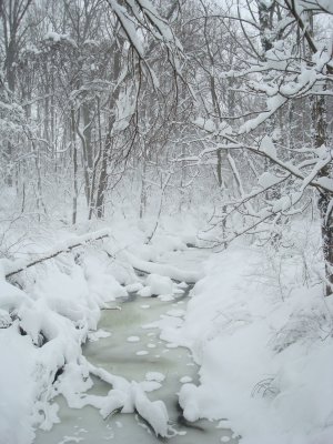 DSC01810.JPG