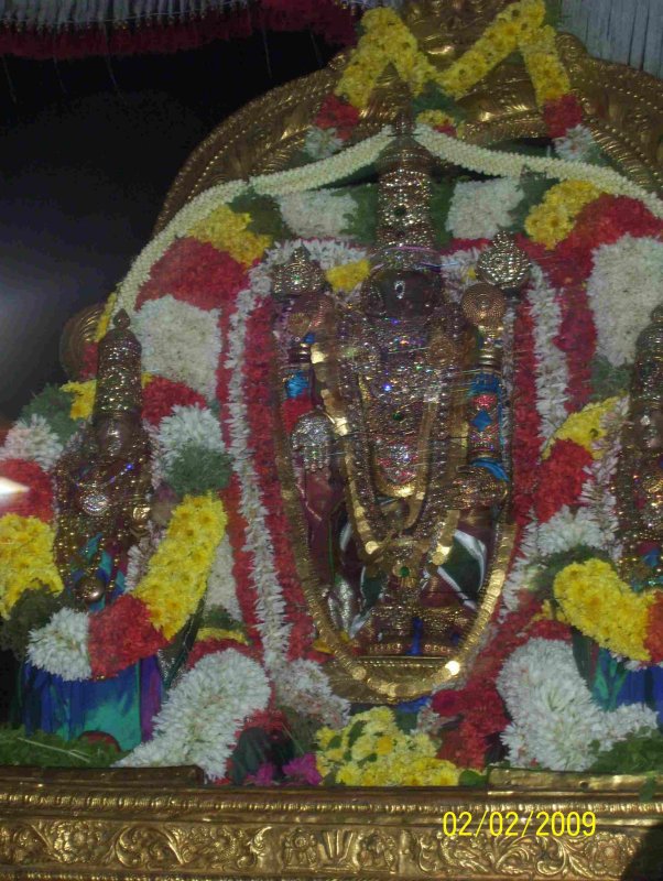 Sri Parthasarathy Thiruvenkadamudayan Thirukolam6_DAY 6.jpg