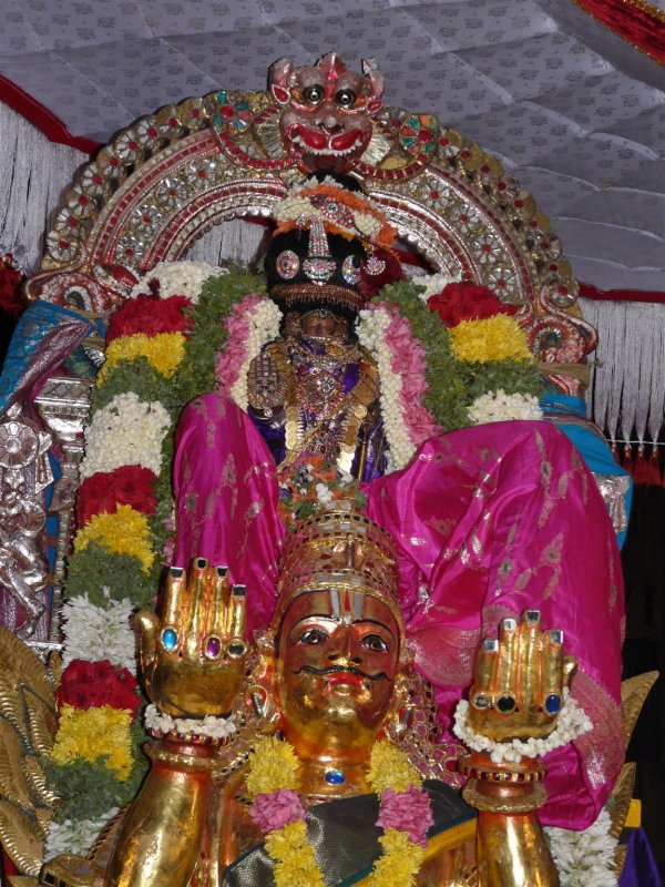 Panguni Uttram  Sri Ranganathar in kannAdi Garudan-3.JPG