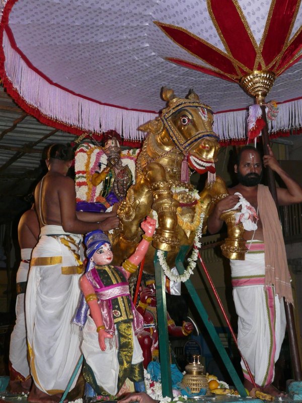 13 Parthasarathi in kudirai vahanam.JPG